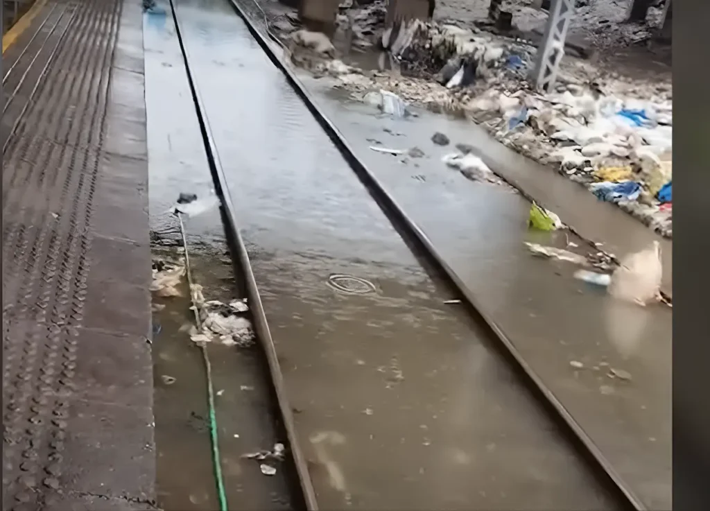 Mumbai Drainage Disaster