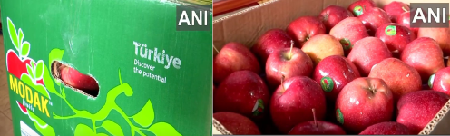Turkish Apples
