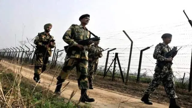 BSF nabs