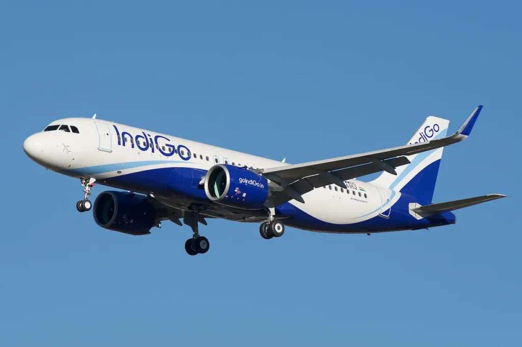 Indigo Tail Strike Chaos