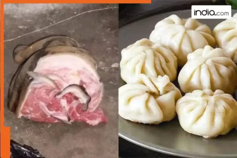 Mohali Momo Factory Horror