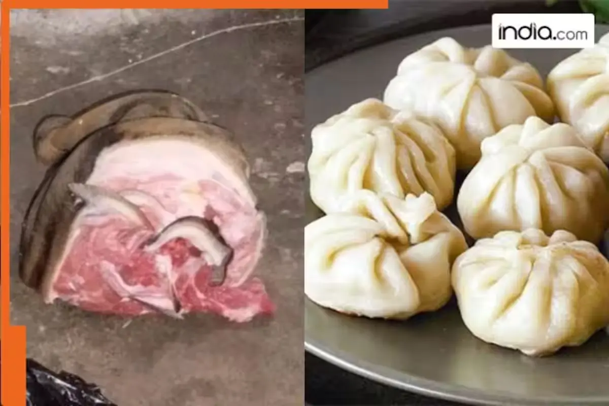 Mohali Momo Factory Horror