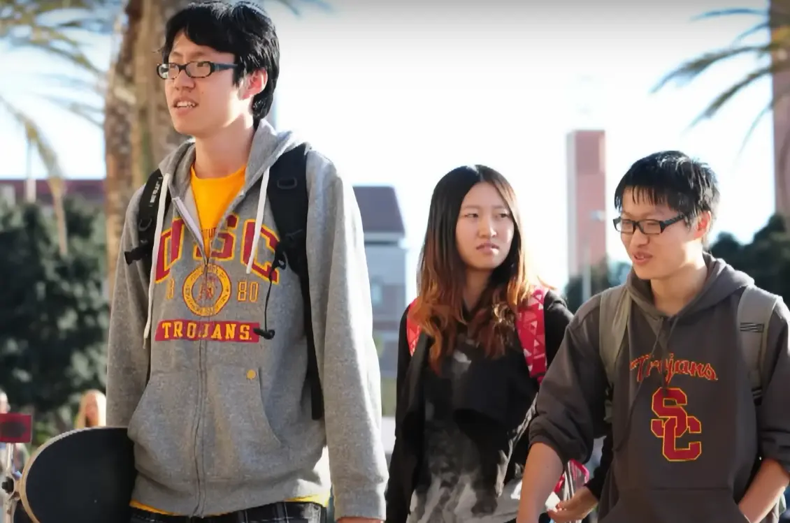 Support for Chinese Students
