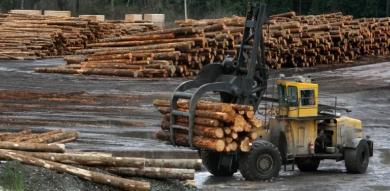 Lumber