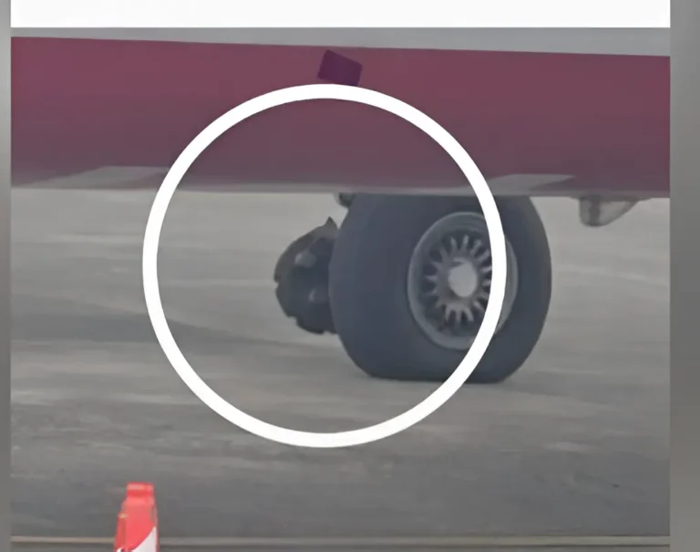 Mid-Air Scare